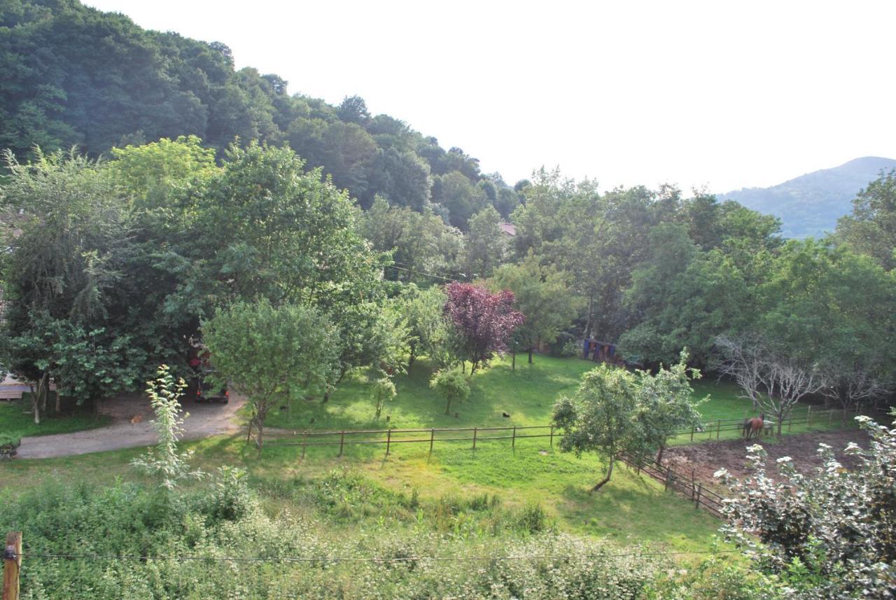 Apartamento Rural Lago Ercina Daire Onís Dış mekan fotoğraf